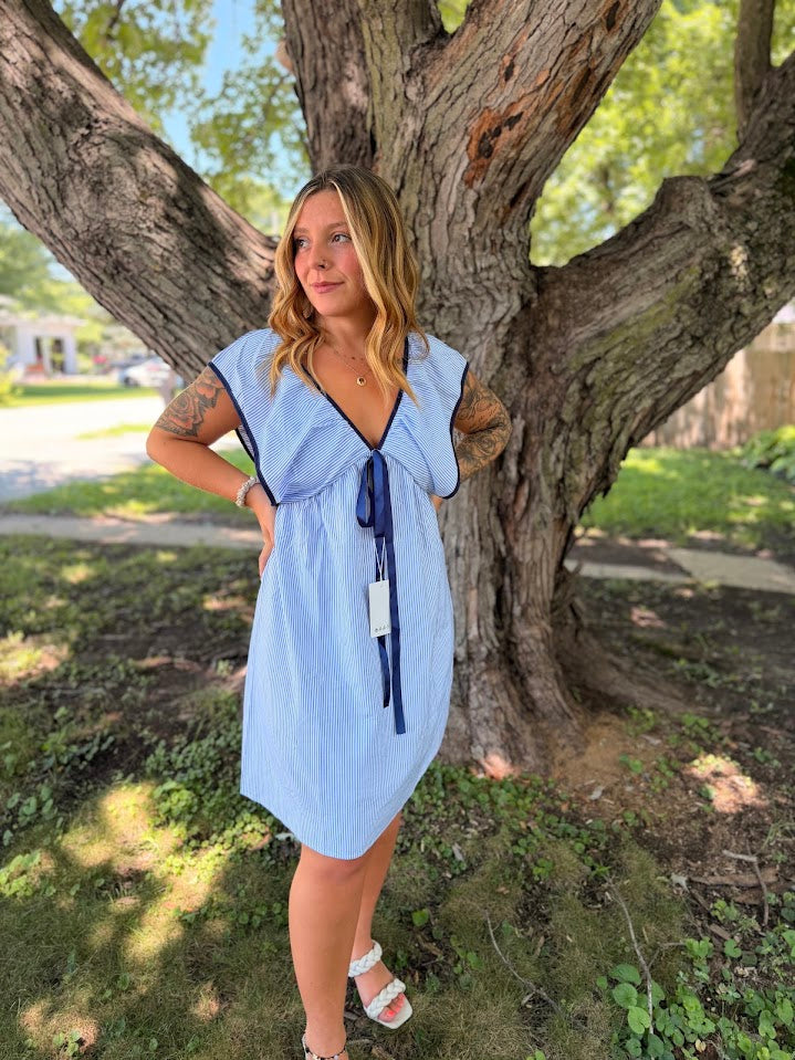 Flutter Sleeve Dress